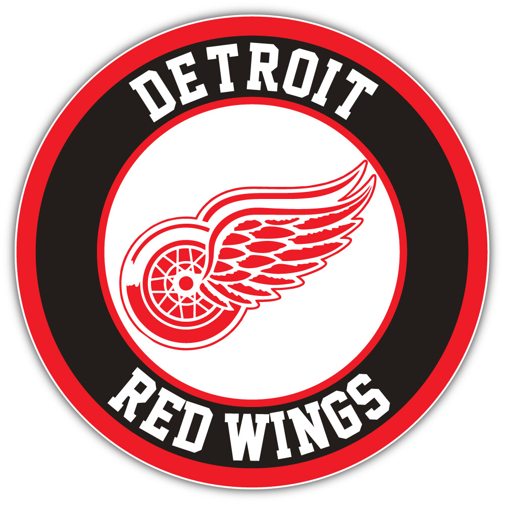 Detroit Red Wings hockey team